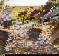 8-Day Tasman Wildlife and Wilderness Encounter Including Accommodation