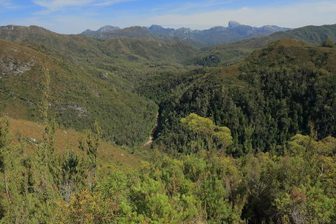 Lake St. Clair And Western Wilderness Active Day Trip From Hobart - Accommodation Mount Tamborine 9