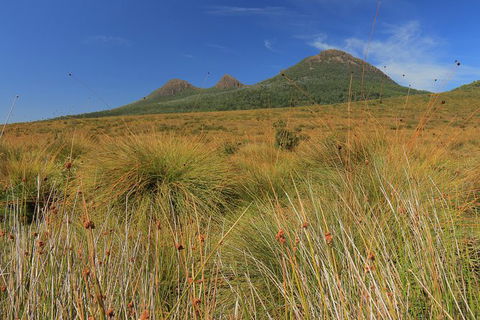 Lake St. Clair And Western Wilderness Active Day Trip From Hobart - Accommodation Mount Tamborine 11