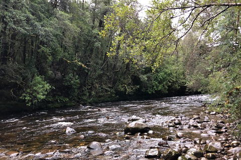 Lake St. Clair And Western Wilderness Active Day Trip From Hobart - Accommodation Mount Tamborine 4