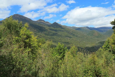 Lake St. Clair And Western Wilderness Active Day Trip From Hobart - Accommodation Mount Tamborine 13