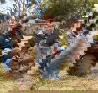 Bonorong Wildlife Park and Richmond Afternoon Tour from Hobart