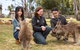 Bonorong Wildlife Park And Richmond Afternoon Tour From Hobart - thumb 9