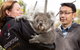 Bonorong Wildlife Park And Richmond Afternoon Tour From Hobart - thumb 7