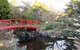 Small-group Tour From Hobart: Native Flora And Fauna, Incl. Royal Bot. Gardens - thumb 0