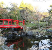 Small-group tour from Hobart Native Flora and Fauna incl. Royal Bot. Gardens - Accommodation Mount Tamborine
