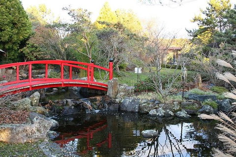 Small-group Tour From Hobart: Native Flora And Fauna, Incl. Royal Bot. Gardens - Accommodation Mount Tamborine 0