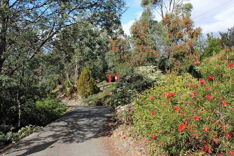 Small-group Tour From Hobart: Native Flora And Fauna, Incl. Royal Bot. Gardens - Accommodation Mount Tamborine 11