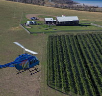 Bangor Vineyard Shed Helicopter Tour - Accommodation Mount Tamborine