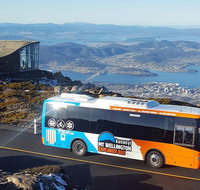 Kunany / Mt Wellington Explorer Bus - 2 Hour Return Tour - Accommodation Mount Tamborine