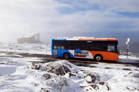 Kunany / Mt Wellington Explorer Bus - 2 Hour Return Tour - Accommodation Mount Tamborine 7