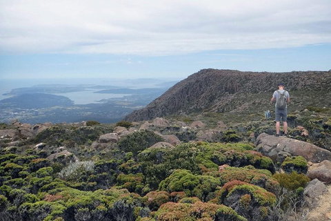 Kunany / Mt Wellington Explorer Bus - 2 Hour Return Tour - Accommodation Mount Tamborine 4