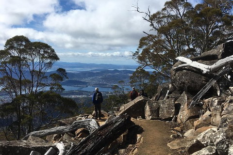 Kunany / Mt Wellington Explorer Bus - 2 Hour Return Tour - Accommodation Mount Tamborine 9