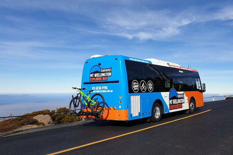 Kunany / Mt Wellington Explorer Bus - 2 Hour Return Tour - Accommodation Mount Tamborine 3