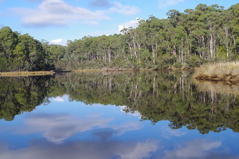 Leven River Picnic Cruise From Ulverstone - Accommodation Mount Tamborine 1