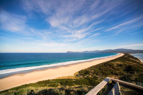 Private Bruny Island Food And Wine Day Trip From Hobart - Accommodation Mount Tamborine 1