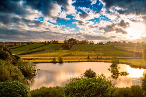 Josef Chromy Wines Winery Tour Including Tasting And Lunch - Accommodation Mount Tamborine 2