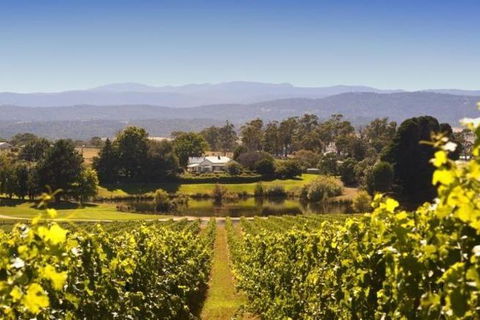 Josef Chromy Wines Winery Tour Including Tasting And Lunch - Accommodation Mount Tamborine 5