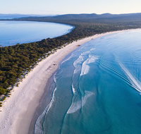 Maria Island Cruise  Walk. Renowned day tour with drinks and guided walk - Accommodation Mount Tamborine