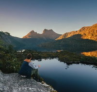Highlights of Tasmania 5-Day Small-Group Tour from Hobart - Accommodation Mount Tamborine