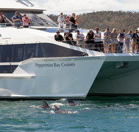 The Peppermint Bay Lunch Cruise from Hobart - Accommodation Mount Tamborine