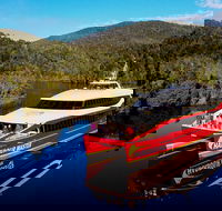 Morning World Heritage Cruise on the Gordon River departing Strahan 9am - Accommodation Mount Tamborine