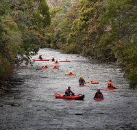 Meander Wilderness Experiences - Accommodation Mount Tamborine