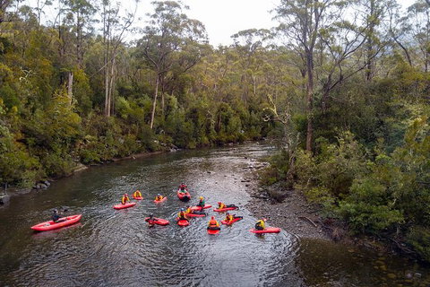 Meander Wilderness Experiences - Accommodation Mount Tamborine 1