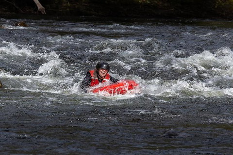 Meander Wilderness Experiences - Accommodation Mount Tamborine 5