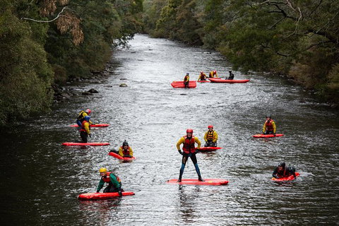 Meander Wilderness Experiences - Accommodation Mount Tamborine 3
