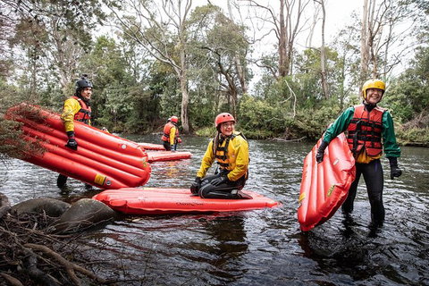 Meander Wilderness Experiences - Accommodation Mount Tamborine 7