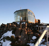 Small-Group tour from Hobart Mt Wellington Bonorong Wildlife Park and Richmond - Accommodation Mount Tamborine