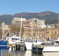 Private Mt Wellington Richmond Bonorong Wildlife Sanctuary Tour from Hobart - Accommodation Mount Tamborine