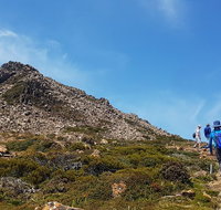 Hartz Peak Hiking Tour - Hartz Mountains National Park - Accommodation Mount Tamborine
