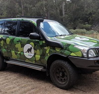 Spotlight Tour 2 hours 120 per person - Accommodation Mount Tamborine