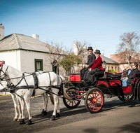 Trot Through Time - Accommodation Mount Tamborine