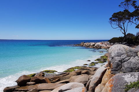 Tasmania 4 Day East Coast + Launceston - Accommodation Mount Tamborine 2