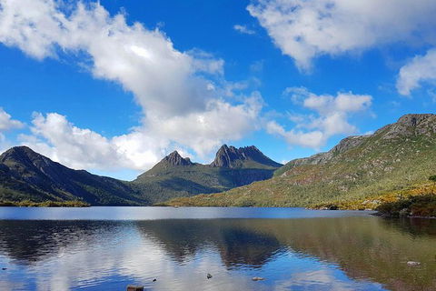 Tasmania 13 Day Premium Tour - Accommodation Mount Tamborine 0