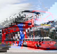 Kunanyi/Mt Wellington Tour  Hobart Hop-On Hop-Off Bus