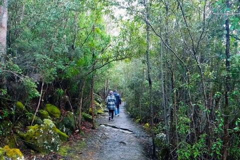 Kunanyi/Mt Wellington Tour & Hobart Hop-On Hop-Off Bus - Accommodation Mount Tamborine 5