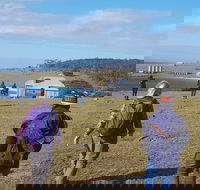 4-Day Hobart Adventure Tour Maria Island Cape Raoul Mount Field Cape Hauy