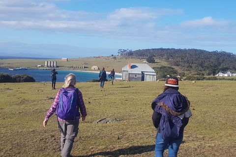 4-Day: Hobart Adventure Tour: Maria Island, Cape Raoul, Mount Field, Cape Hauy - Accommodation Mount Tamborine 0