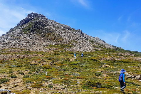 3-Day: Hobart Adventure Tour: Mount Field, Cape Hauy And Hartz Peak - Accommodation Mount Tamborine 0
