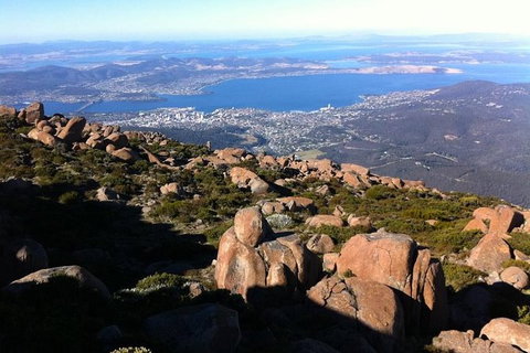 Mt Wellington ULTIMATE Tour, Most Comprehensive/ Best Value - Accommodation Mount Tamborine 1