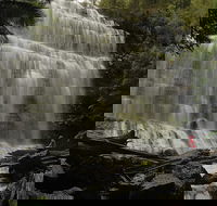 Guided Shore Excursion Mt Field National Park Salmon Ponds Bonorong Wildlife