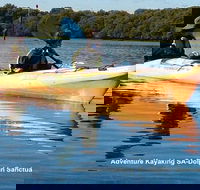 Adelaide Dolphin Sanctuary and Ships Graveyard Kayak Tour - Accommodation Mount Tamborine