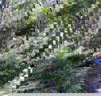 Self-Guided Waterfall Gully to Mount Lofty Hike from Adelaide - Accommodation Mount Tamborine