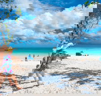 Whitehaven Beach Half-Day Cruises - Accommodation Mount Tamborine