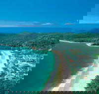 Sunshine Coast Hinterland and Noosa Day Trip from Brisbane Including Eumundi Markets and Ginger Factory - Accommodation Mount Tamborine