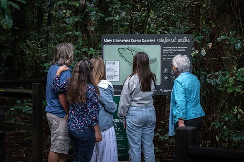 Sunshine Coast Hinterland And Noosa Day Trip From Brisbane Including Eumundi Markets And Ginger Factory - Accommodation Mount Tamborine 4